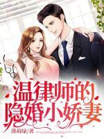溫律師的隱婚小嬌妻