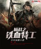 抗戰(zhàn)之鐵血特工
