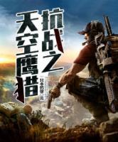 抗戰(zhàn)之天空鷹獵
