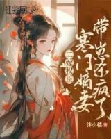 二嫁權(quán)臣，寒門嫡妻帶崽殺瘋了
