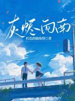 灰燼向南