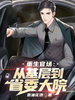 重生官場：從基層到省委大院