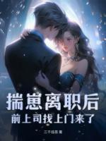 揣崽離職后，前上司找上門來了