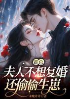霍總，夫人不想復婚還偷偷生崽