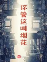 你管這叫煙花？