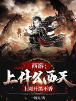 西游：上什么西天，上網(wǎng)開黑不香