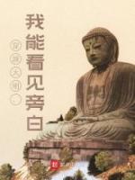 穿越大明，我能看見(jiàn)旁白
