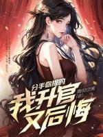 分手你提的，我升官又后悔