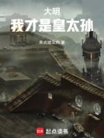 大明：我才是皇太孫