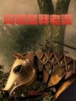 阿銀是我老婆