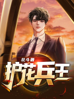 護(hù)花兵王