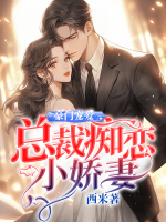 豪門寵愛：總裁癡戀小嬌妻