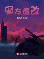 網(wǎng)友爆改