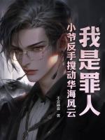 我是罪人？小爺反手攪動華海風云