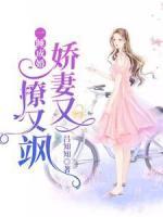 一睡成婚：嬌妻又撩又颯