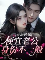 開局替嫁，便宜老公身份不一般