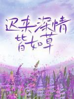 遲來(lái)深情皆如草