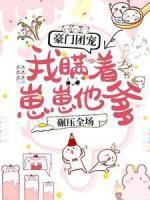 豪門團寵：我瞞著崽崽他爹，碾壓全場！