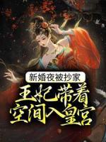 新婚夜被抄家，王妃帶著空間入皇宮