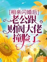 相親閃婚后，老公跟財(cái)閥大佬撞臉了
