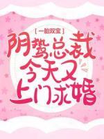 一胎雙寶：陰鷙總裁今天又上門求婚