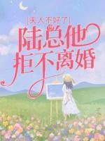 夫人不好了，陸總他拒不離婚