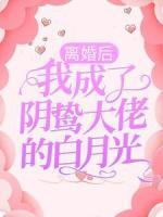 離婚后，我成了陰鷙大佬的白月光