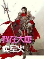 我在大唐賣(mài)軍火