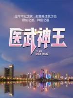 醫(yī)武神王