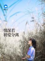 情深若初愛分離