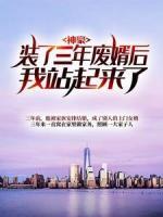 神豪：裝了三年廢婿后我站起來了