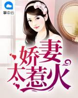 嬌妻太惹火