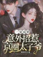 一寵成婚，意外招惹京圈太子爺