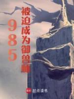 985被迫成為御獸師