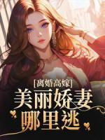 離婚高嫁：美麗嬌妻哪里逃