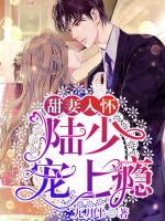 甜妻入懷：陸少，寵上癮！