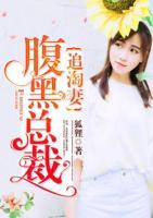 腹黑總裁追淘妻