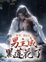 穿書：我走后，男主成黑蓮花了
