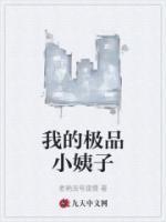 我的極品小姨子