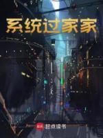 系統(tǒng)過家家