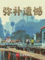 彌補(bǔ)遺憾