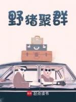 野豬聚群