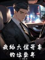 我給大佬開(kāi)車的這些年