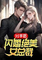 分手后，閃婚絕美女總裁