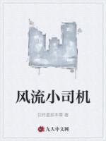 風流小司機