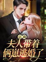 總裁，夫人帶著倆崽逃婚了
