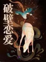 破壁戀愛