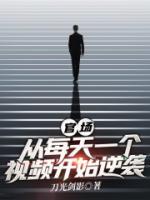 開掛官途