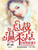 暖婚甜妻：總裁溫柔點