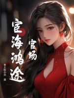 官場(chǎng)：宦海鴻途
